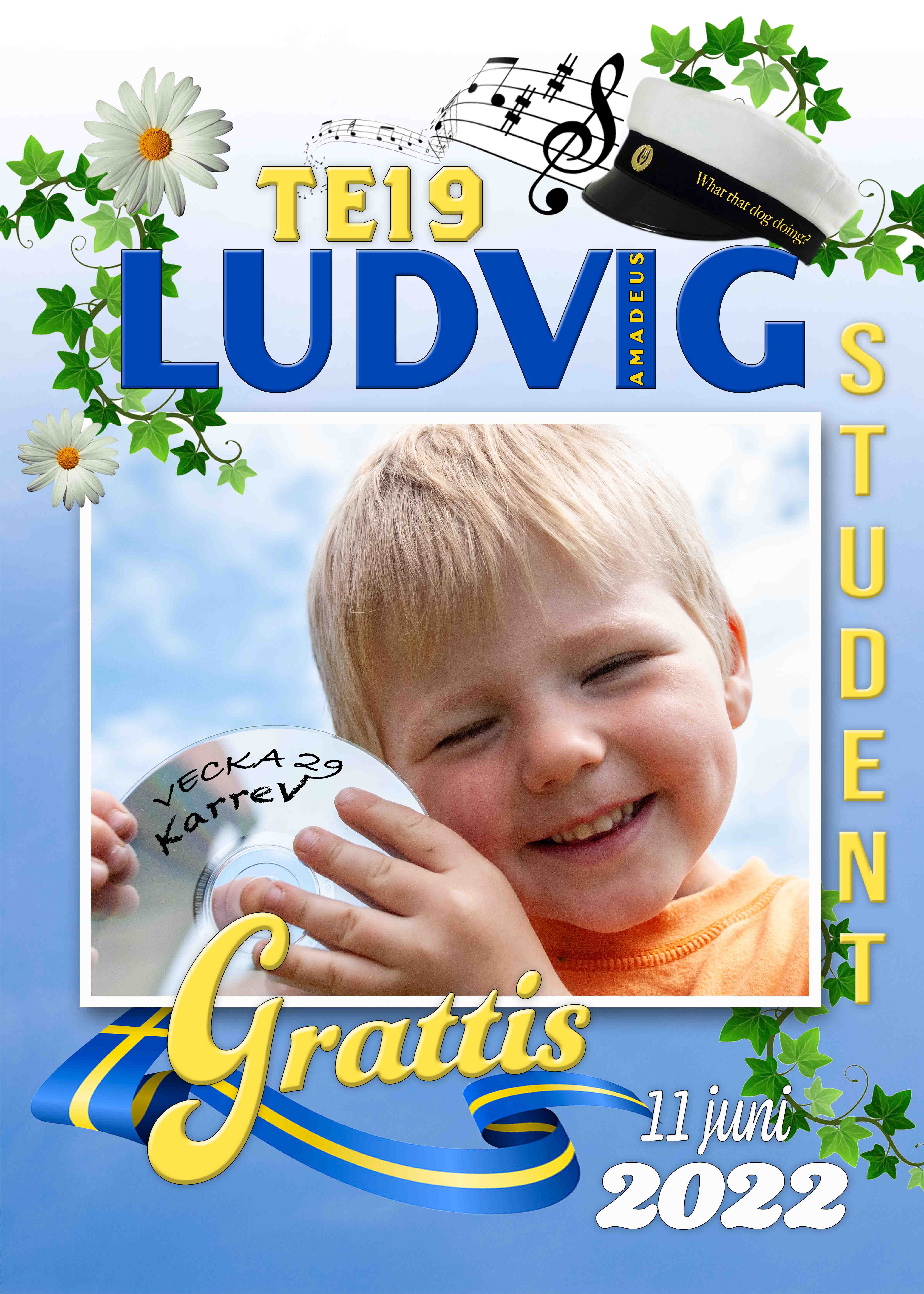 Desing LUDVIG